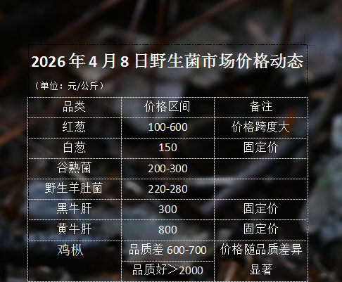 2026年4月8日野生菌市场价格动态