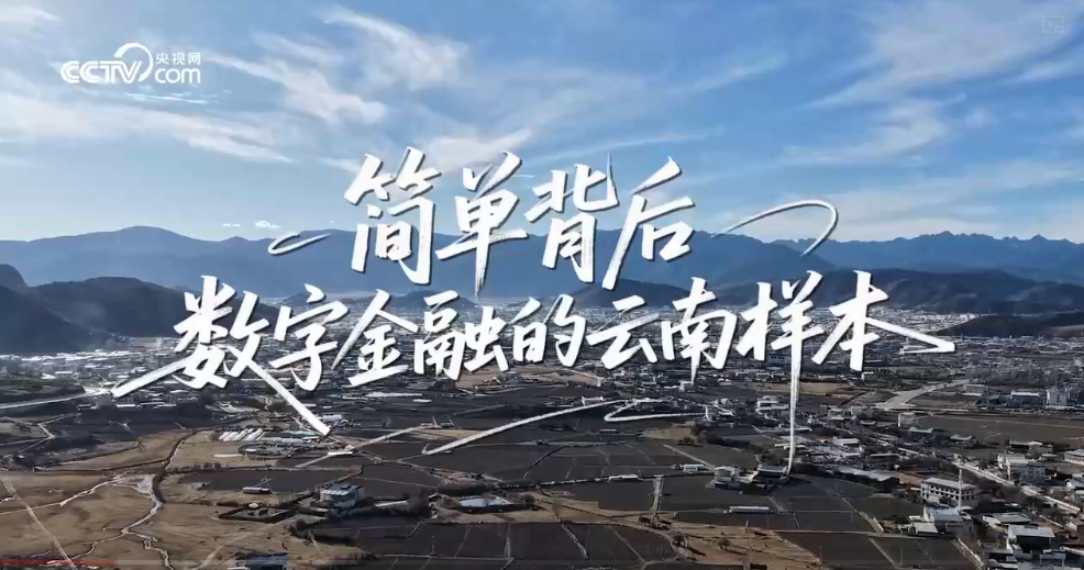 简单背后：数字金融的云南样本