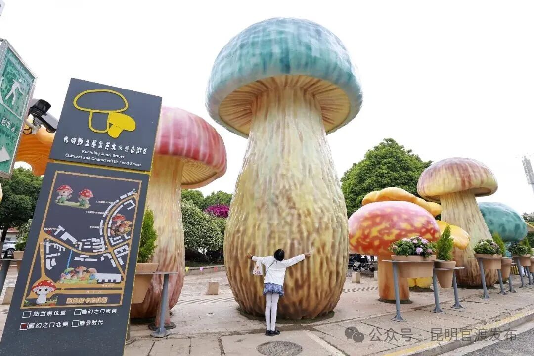 好大的“野生菌” 网友直呼太“滇”了
