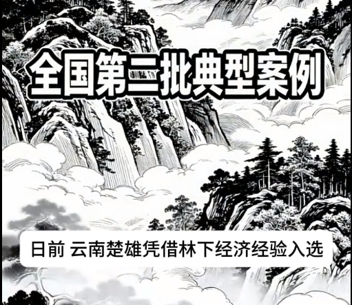 云南“菌窝”何以持续变“金窝”?