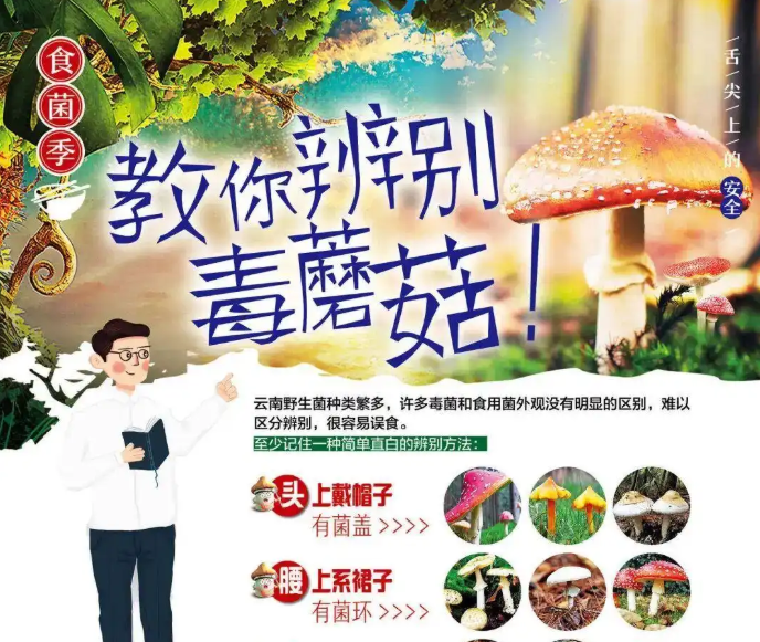 昆明市发布2026年野生菌中毒风险预警提示