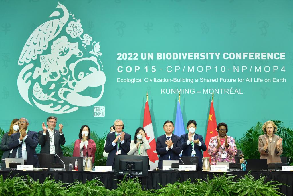 特稿丨全球生物多样性保护的中国贡献