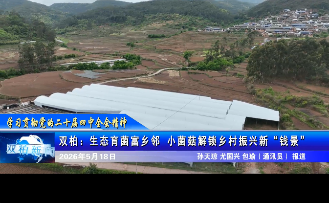 双柏:生态育菌富乡邻 小菌菇解锁乡村振兴新“钱景”