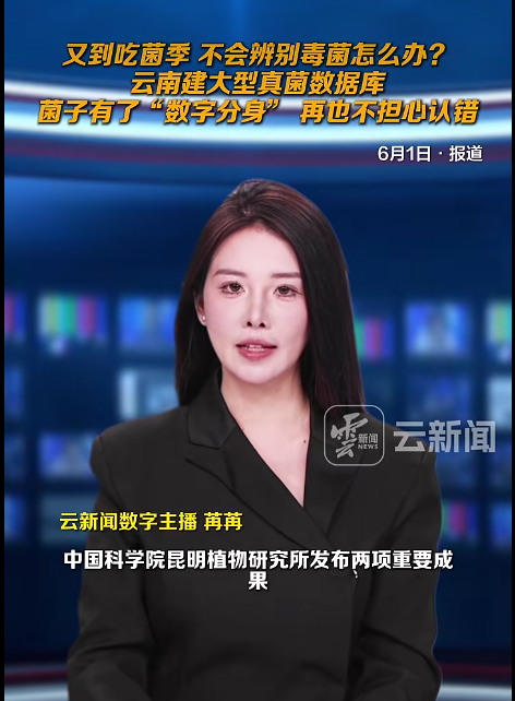 不会鉴别毒蘑菇 ?云南建大型真菌数据库