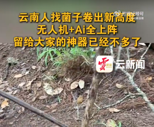 【#云南人找菌子卷出新高度# 】