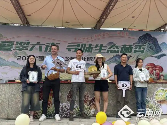 「生活新算法」在昆明山林,算一笔人与菌的“共生账”