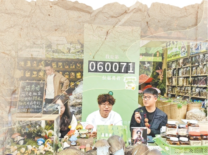 菌香满城 味见昆明