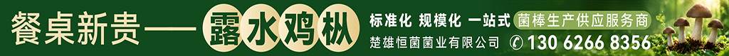 楚雄恒菌菌业有限公司